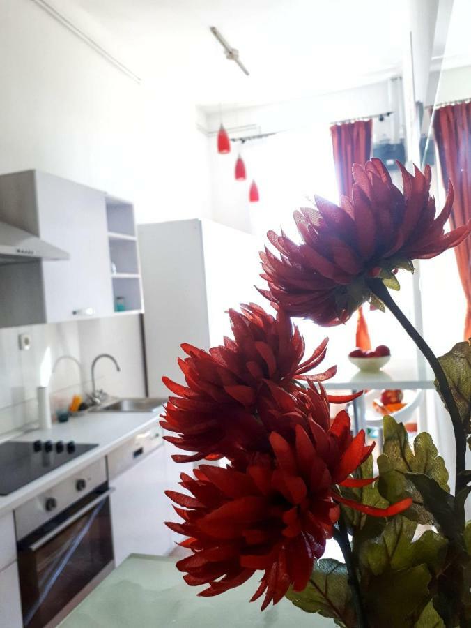 זאגרב Apartment Zrinjevac מראה חיצוני תמונה